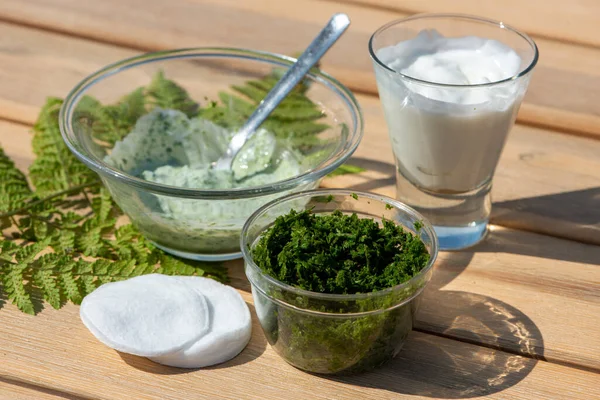 Wood Fern leaves and yogurt for healing cream. — Stock Photo, Image