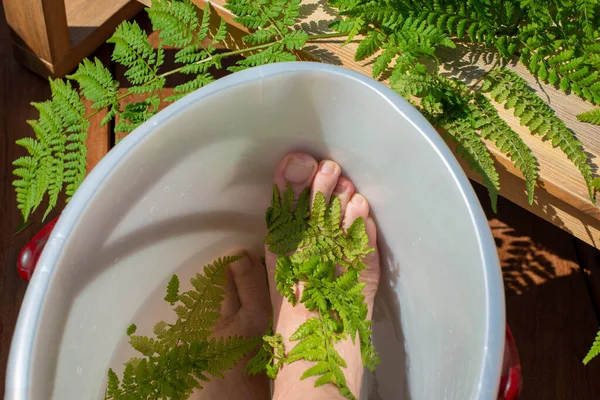 Лечебная ванна для ног с экстрактом папоротника. — стоковое фото