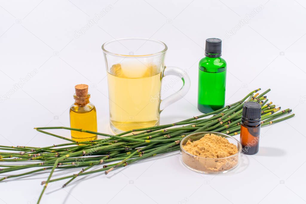 Water horsetail herb, horsetail oil, extract and glass of tea on white background.