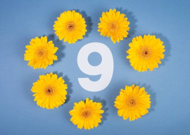 9 numara sarı Gerbera çiçekleriyle çevrili mavi arka planda..