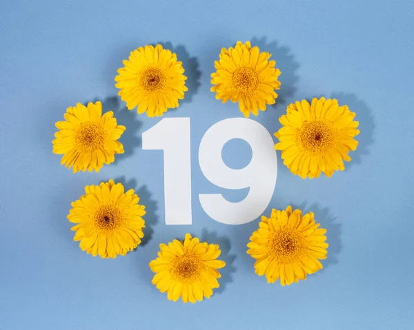 Número 19 rodeado de flores de gerberas amarillas sobre fondo azul. — Foto de Stock