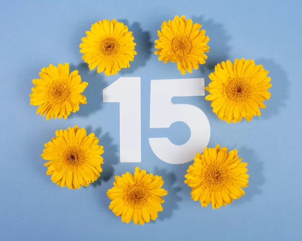 Número 15 rodeado de flores de gerberas amarillas sobre fondo azul. — Foto de Stock