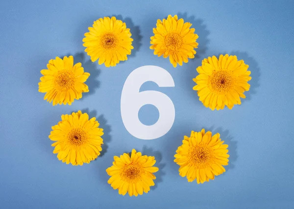 6 numara sarı Gerbera çiçekleriyle çevrili mavi arka planda..