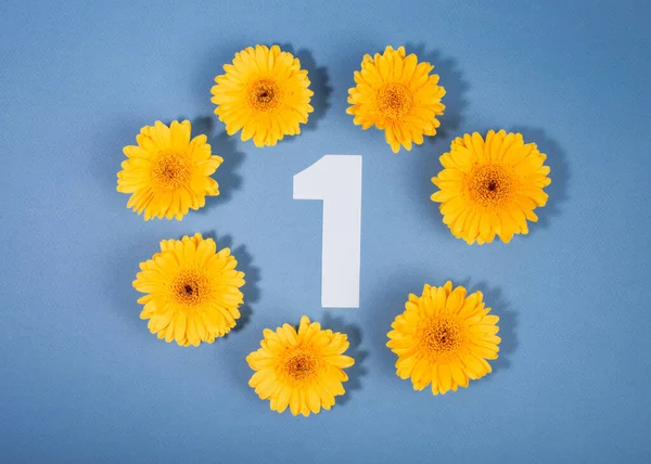 Número 1 rodeado de flores de gerberas amarillas sobre fondo azul. — Foto de Stock