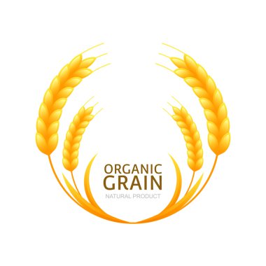 Circle frame of wheat or rye grain. Vector logo or label design 