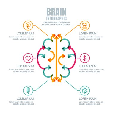 Vector brain infographics design and icons set.