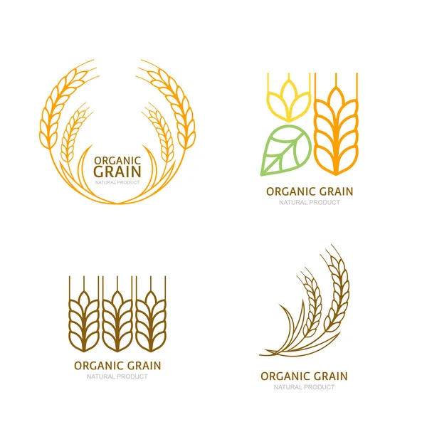 Set of organic wheat grain outline icons. — Stockový vektor