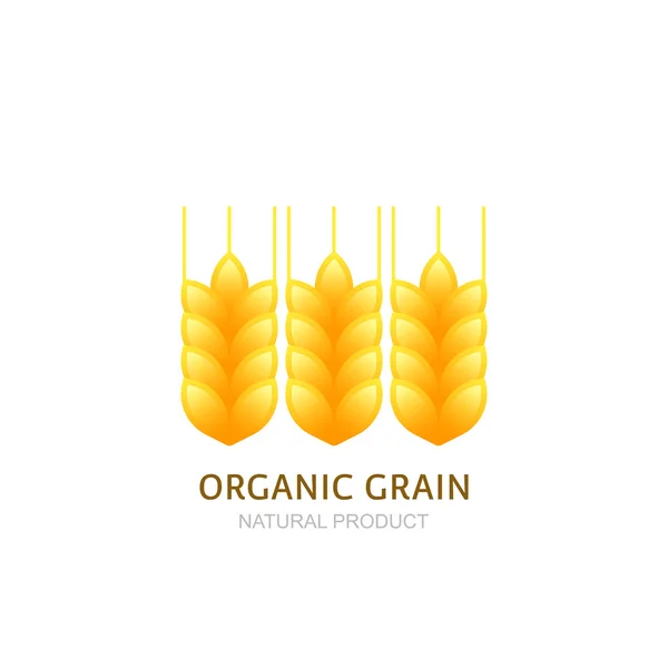 Wheat ears logo, icon or label vector design elements. — Stock Vector