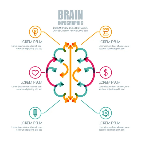 Vector brain infographics design and icons set.