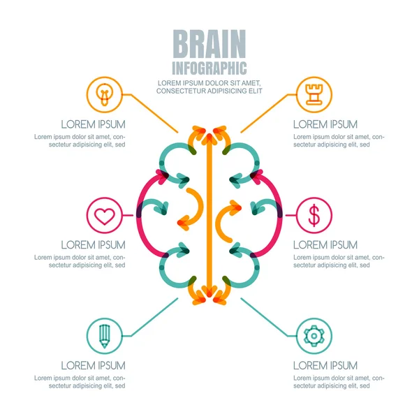 Vector brain infographics design and icons set. — стоковый вектор