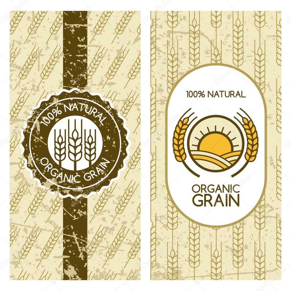 Set of vector backgrounds for label, package, banner. Seamless grunge pattern with wheat grain. Concept for organic products, harvest and farming, grain, bakery, healthy food.