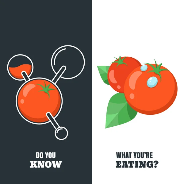 Vector ilustración de tomates orgánicos y modificado químicamente — Vector de stock