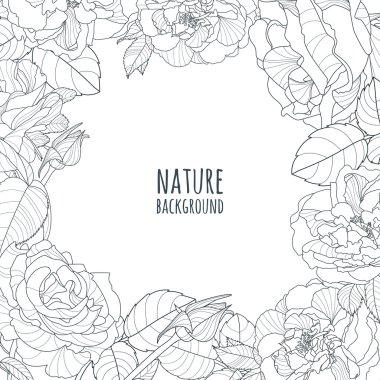 Vector square frame with hand drawn roses flowers. Black and white floral background with roses.