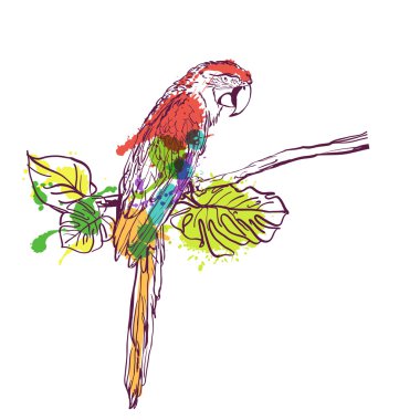 Vector hand drawn watercolor illustration of tropical ara parrot. Colorful parrot bird sitting on branch with green leaves.