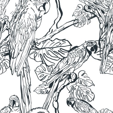 Vector seamless pattern with tropical parrot birds on tree. Hand drawn black and white illustration of jungle.