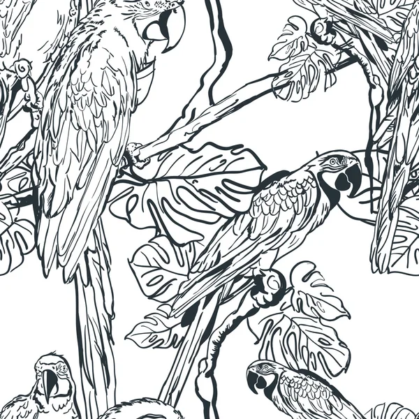 Vector seamless pattern with tropical parrot birds on tree. Hand drawn black and white illustration of jungle. —  Vetores de Stock