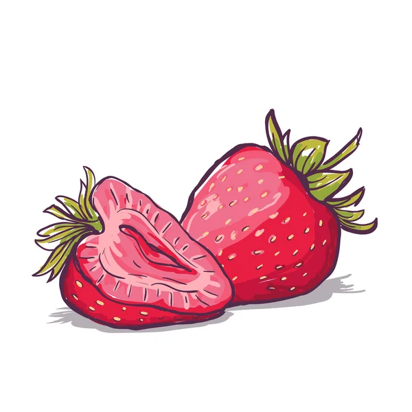 Main de vecteur dessiné des fraises rouges, isolés sur fond blanc. Summer berries illustration colorée. — Image vectorielle