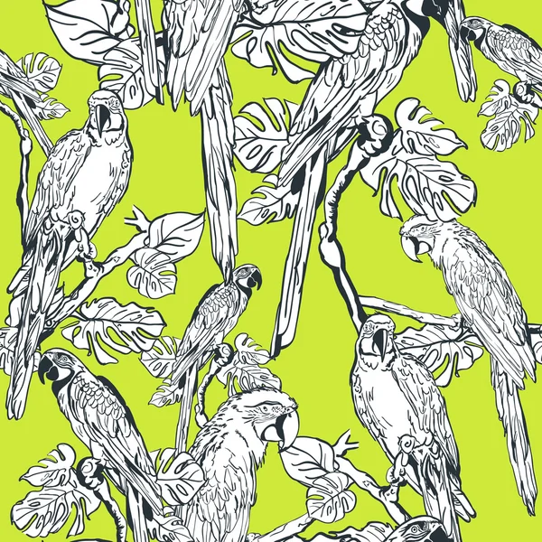 Vector seamless pattern with parrot birds. Hand drawn illustration of jungle.  White linear parrots on green background. Design for fashion textile summer print or wrapping. — Archivo Imágenes Vectoriales