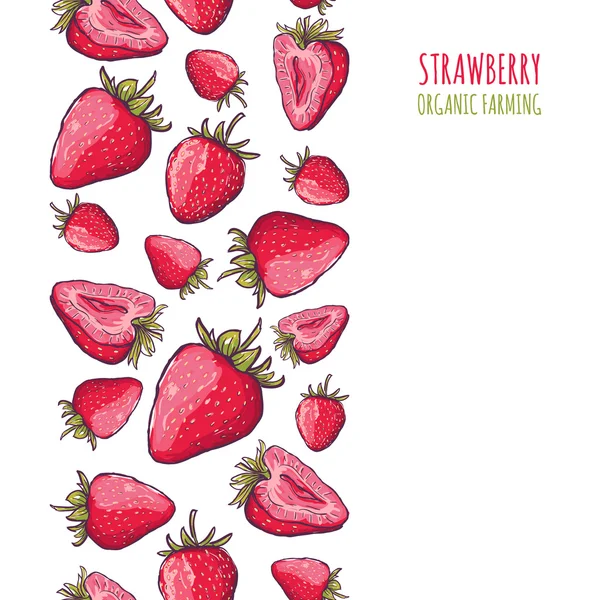 Vector seamless vertical background with red strawberries. Hand draw background with berries. Banner, poster or flyer design concept with place for text. — Image vectorielle