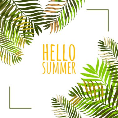 Vector frame with coconut palm leaves on white background. Hello summer background. Floral banner or poster design template with tropical green leaves. 