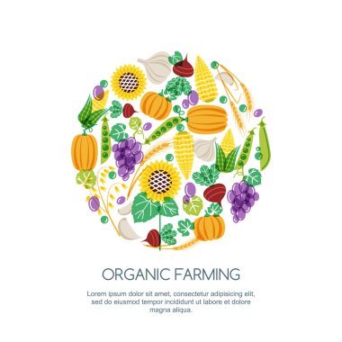 Autumn harvest color illustration. Vector hand drawn vegetables and cereal grains icons set. Design elements for agriculture, harvesting, gardens, farm and farming organic products.