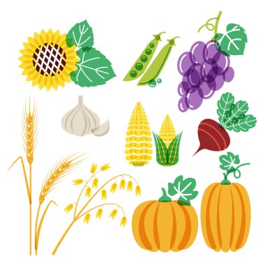Vector hand drawn vegetables and cereal grains icons set. Autumn harvest color illustration. Design elements for agriculture, harvesting, gardens, farm and farming organic products.