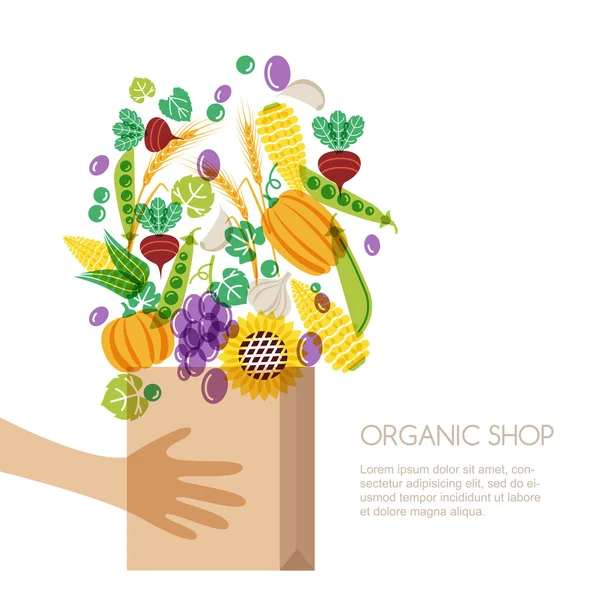 Shopping bag with vegetables and cereal grain in human hands. Autumn harvest vector isolated illustration. Design for agriculture, harvesting, farm and farming. Organic products shop concept. — Image vectorielle