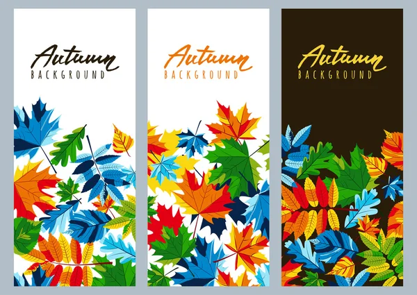 Set of fall banners with multicolor maple autumn leaves. Vector autumnal illustrations. — Stock Vector