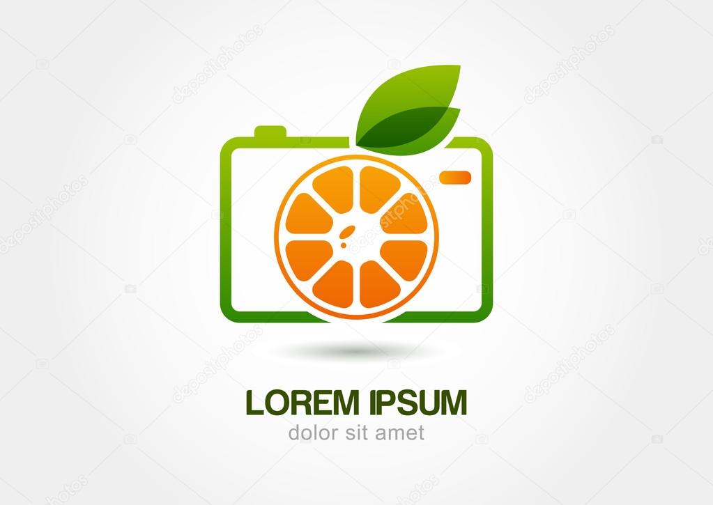 Abstract colorful orange fruit photo camera. Vector logo icon template.