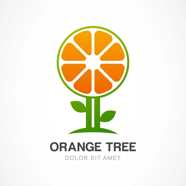Vector logotyp formgivningsmall. Orange tree illustration. Trädgård, o — Stock vektor