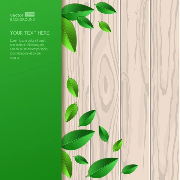 Přírodní dřevěné textury, čerstvé listy a zeleným pozadím s p — Stockový vektor