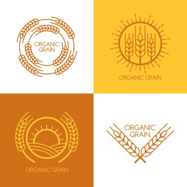 Set of vector linear wheat, fields logo design template.