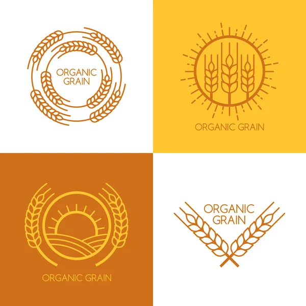Set of vector linear wheat, fields logo design template. — Stockvector