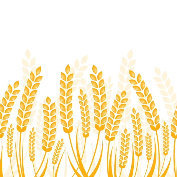 Vector seamless horizontal background with golden ripe ear of wh — Vector de stock