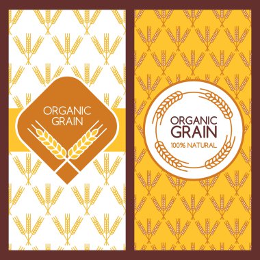 Vektör arka plan afiş, etiket, paket şablon kümesi.