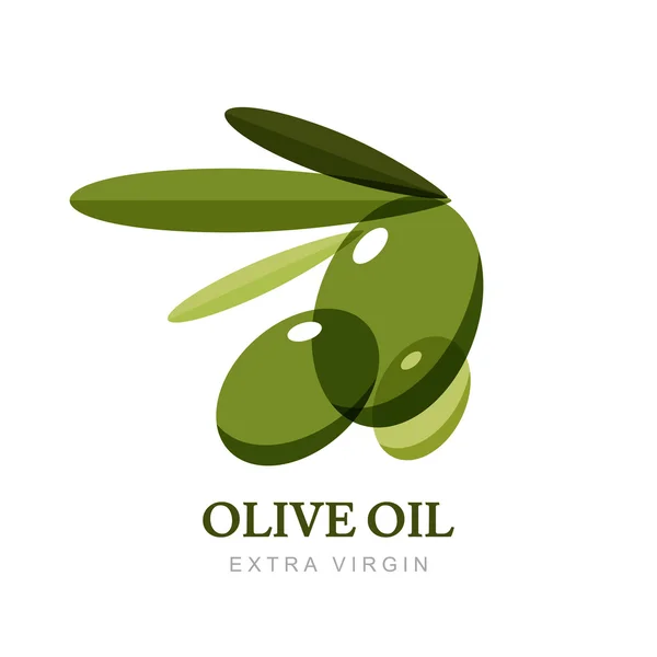 Abstract vector olive logo design template. — Stok Vektör