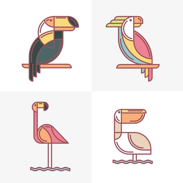 Ilustración de aves línea colorida de tucán, loros de cacatúa, fla — Vector de stock