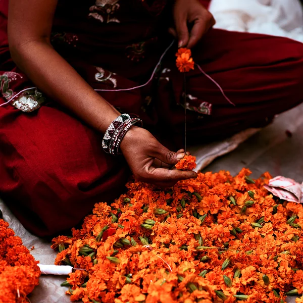 Nepal çiçekçi — Stok fotoğraf