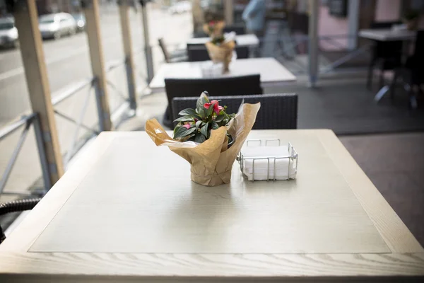 Beautiful flowers on table in the cafe. — Stock Photo, Image