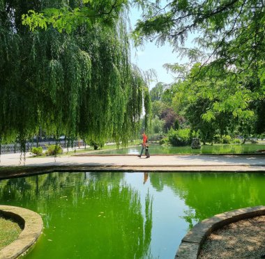Doğal güzellik. Şehir manzarası. Göldeki yeşil musluk. Brige.