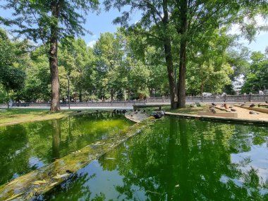 Şehir manzarası. Göldeki yeşil musluk. Brige.