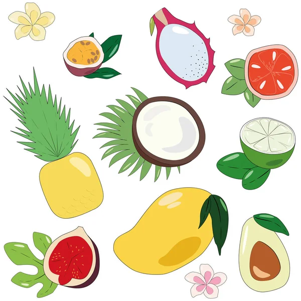 Tropic Exotic Fruits Vector Illustration Set Flat Sketch Healthy Vegan — Stock Vector