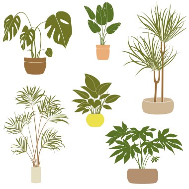 Ev bitkileri vektör çizimi seti. Moda ev dekorasyonu unsurları, blog veya site tasarımı için kapsüllerdeki ev bitkileri.