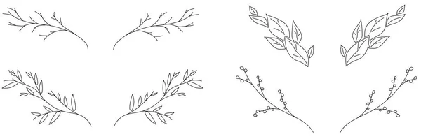 Logo ya da web tasarımı için ağaç dalları seti. Çiçek elementleri çizimi. El çizimi vektör çizgisi illüstrasyonun botanik koleksiyonu.