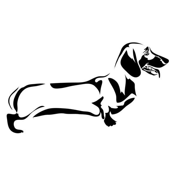 Outline dog Dachshund vector illustration. Can be use for logo — Stock Vector