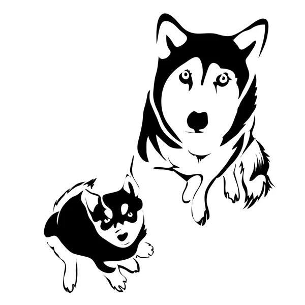 Anahat köpek ve köpek yavrusu husky üstten görünüm vektör şablonu. Kullanmak olabilir