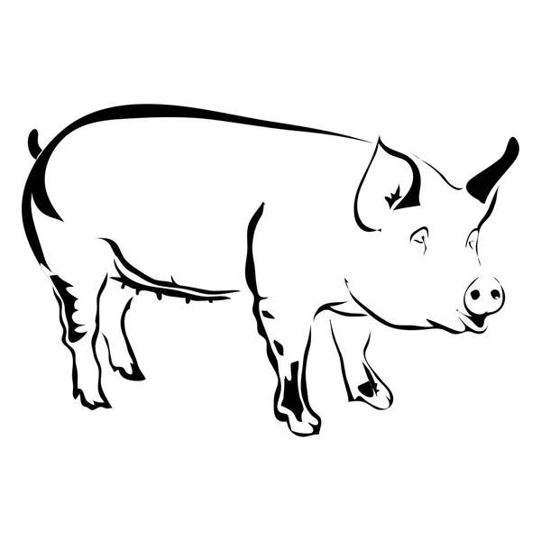 Domuz vektör çizim anahat. Logo veya dövme kullanmak olabilir