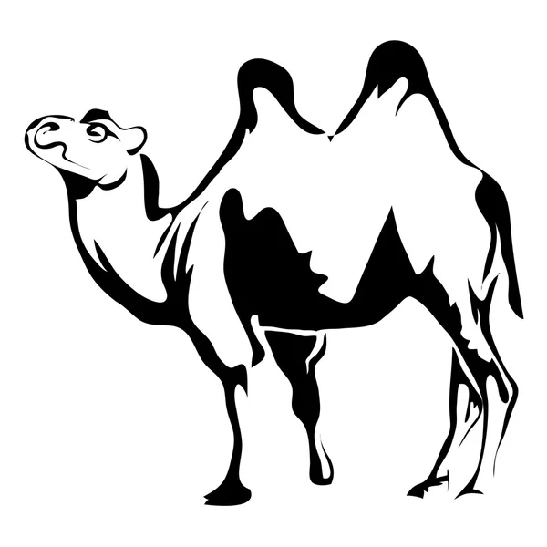 Esquema camello imagen vectorial. Puede ser utilizado para el logotipo — Archivo Imágenes Vectoriales