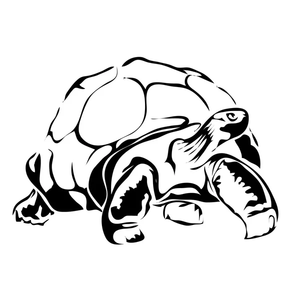 Esquema de tortuga vector de imagen. Puede ser utilizado para el logotipo — Vector de stock