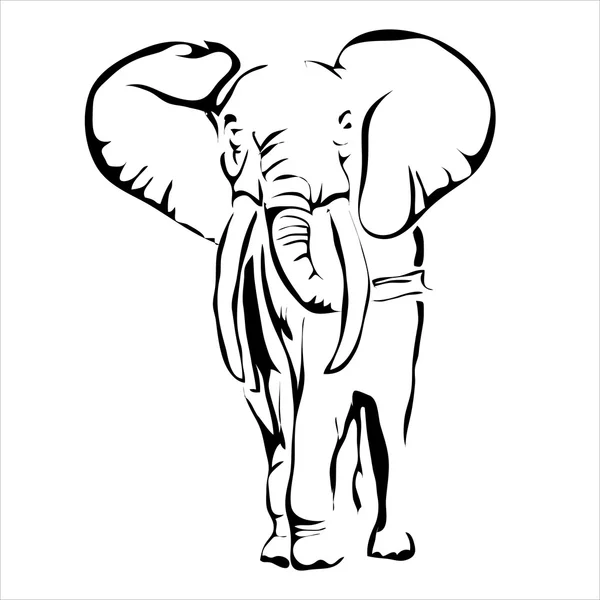 Контур векторного изображения слона. Can be used for logo — стоковый вектор